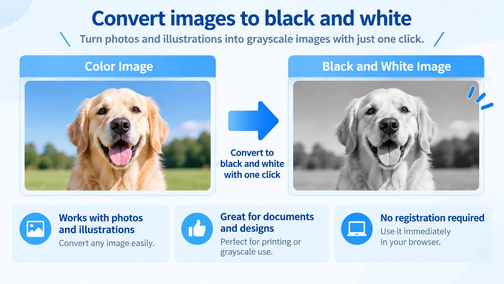 Illustration explaining how Grayscale Converter works